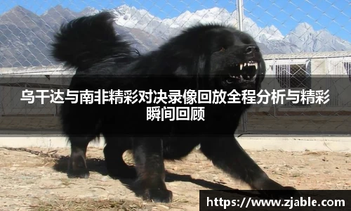 k1体育官网